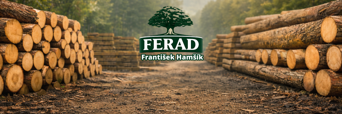 FERAD - František Hamšík